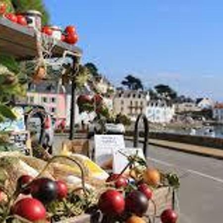 Charmante Maison A Sauzon Avec Grand Jardin, Proche Commerces Et Plage - Fr-1-418-82 Kültér fotó